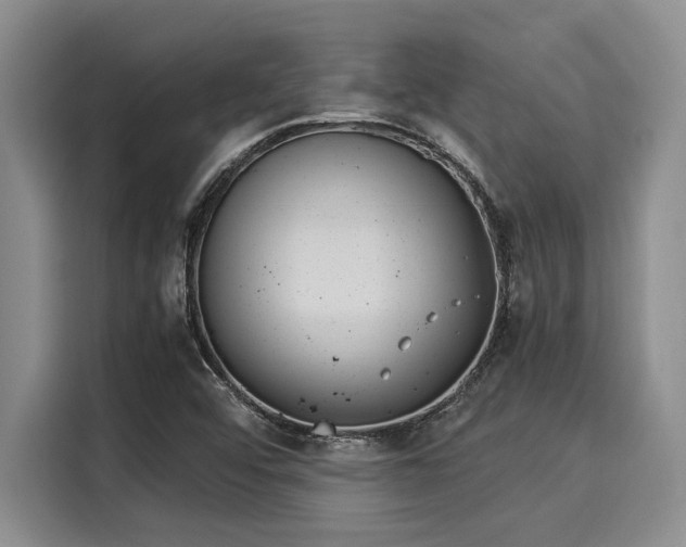 X0000116051456200911271208