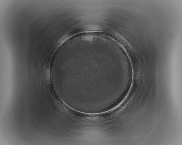 X0000116051457200911271208