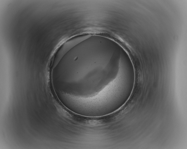 X0000116051459200911271208