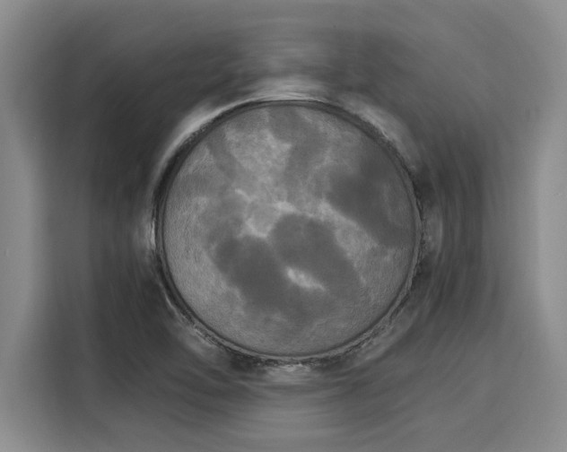 X0000116051462200911271208