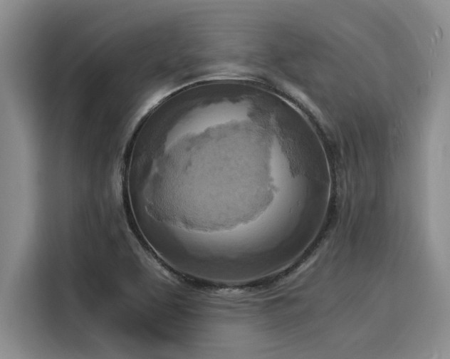 X0000116051463200911271208