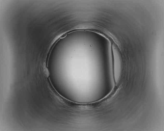 X0000116051465200911271208