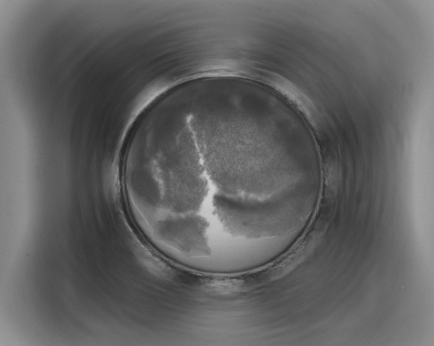 X0000116051466200911271208