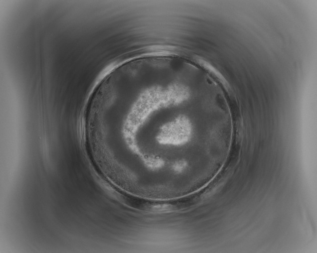 X0000116051467200911271208
