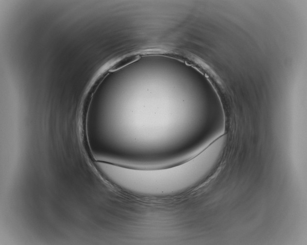 X0000116051469200911271208