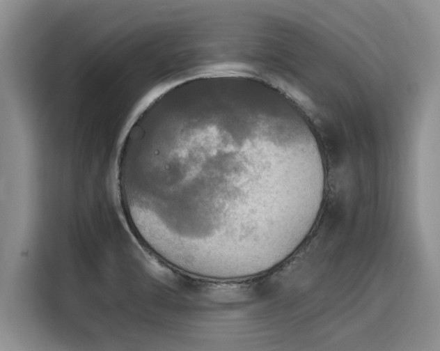 X0000116051470200911271208