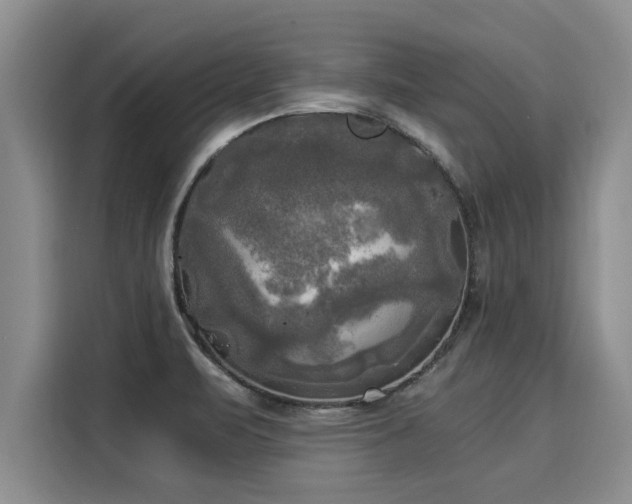 X0000116051471200911271208
