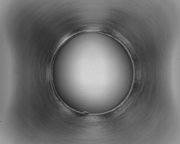 X0000116051473200911271208