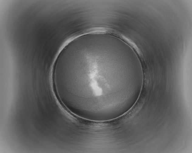 X0000116051475200911271208