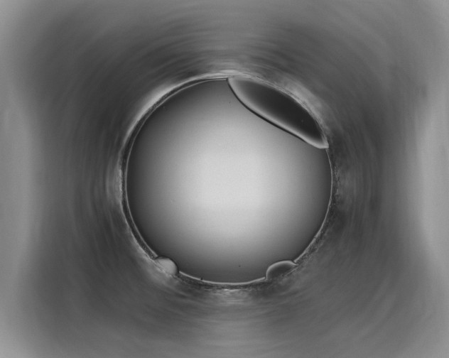 X0000116051476200911271208