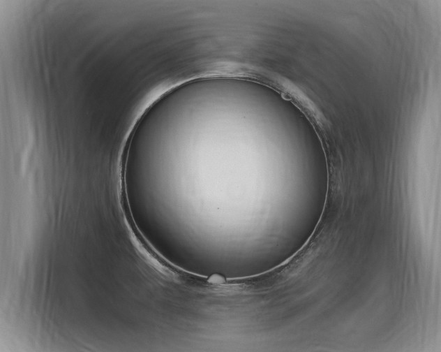 X0000116051479200911271208