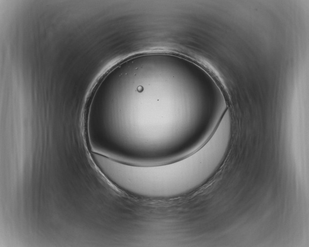 X0000116051480200911271208