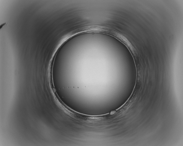 X0000116051483200911271208