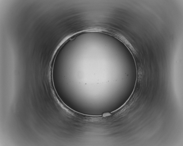 X0000116051484200911271208