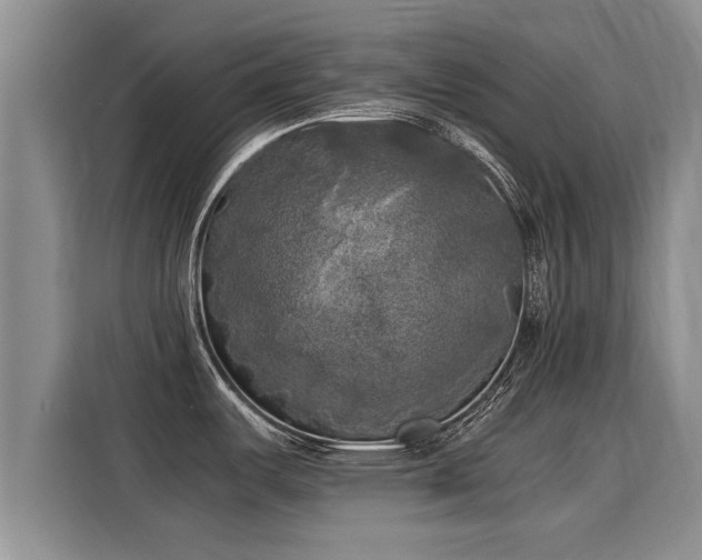 X0000116051487200911271208