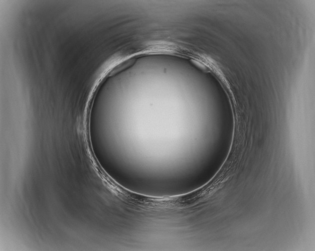 X0000116051488200911271208