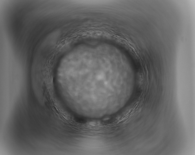 X0000116051489200911271207