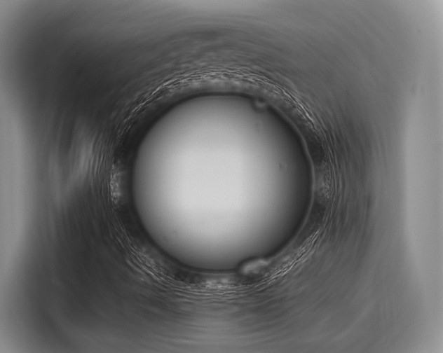 X0000116051490200911271207