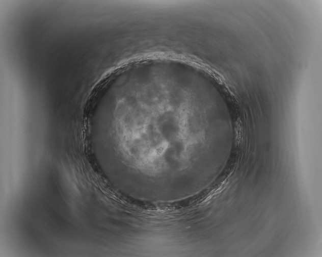 X0000116051494200911271207