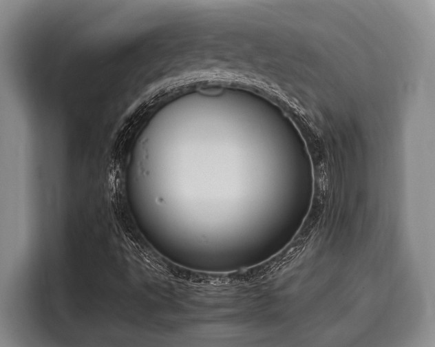 X0000116051495200911271207