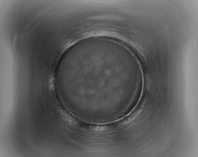 X0000116051497200911271207