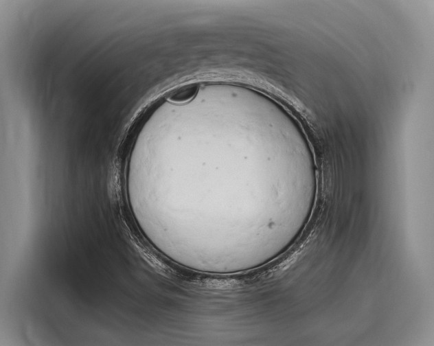 X0000116051498200911271207