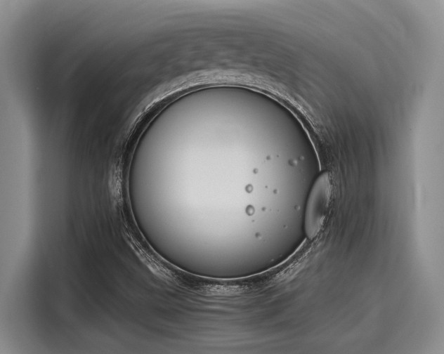 X0000116051499200911271207