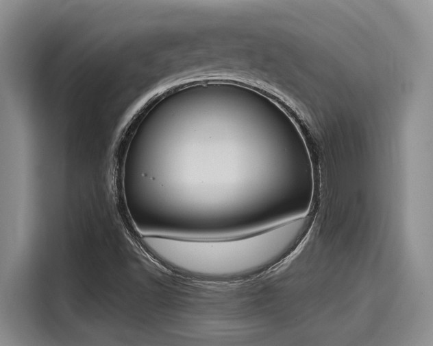 X0000116051502200911271207