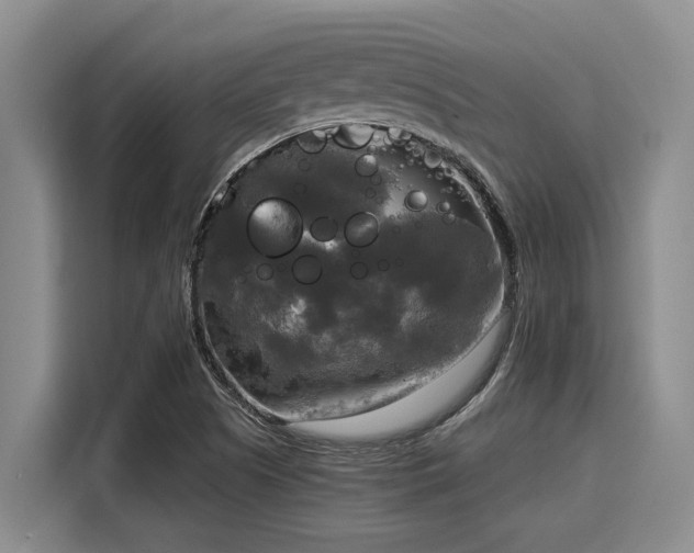 X0000116051505200911271207