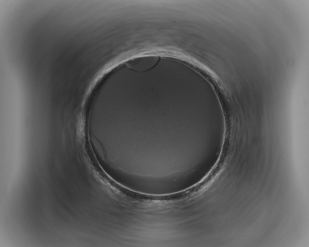X0000116051506200911271207