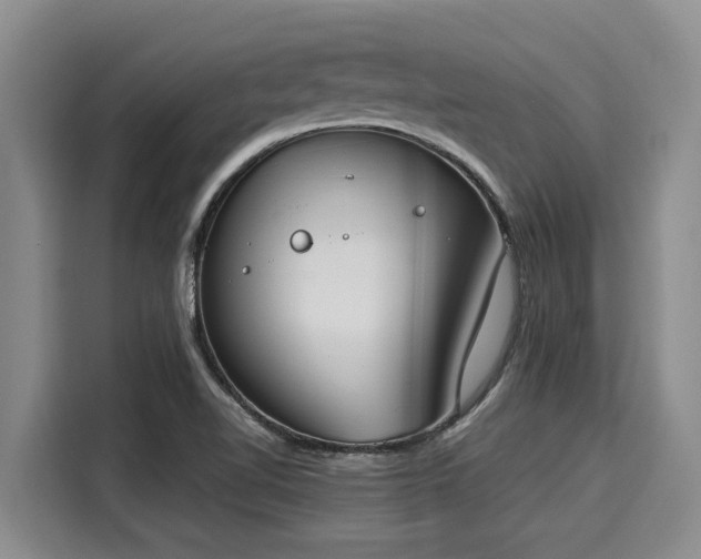 X0000116051510200911271208