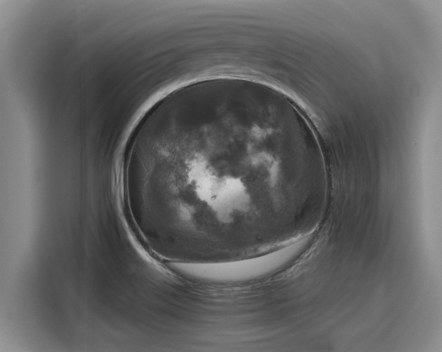 X0000116051515200911271208