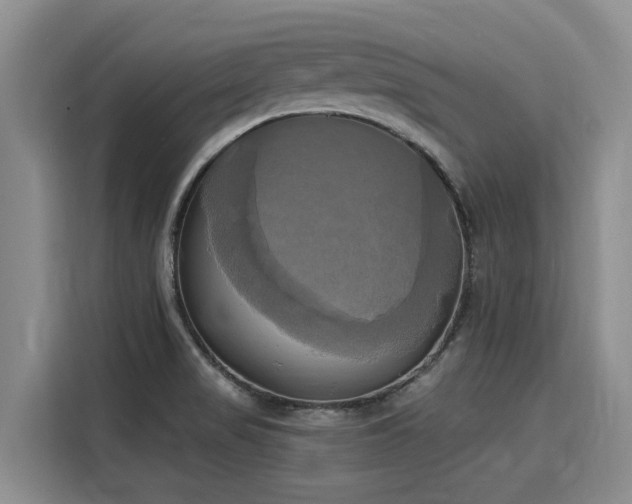 X0000116051517200911271208