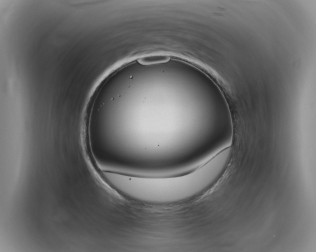 X0000116051518200911271208