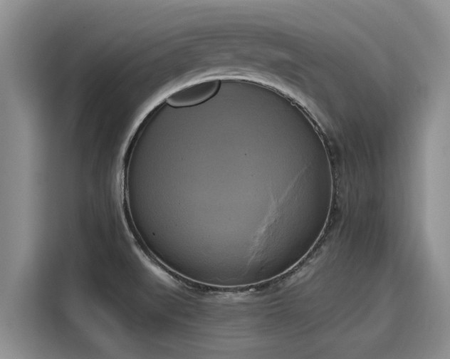 X0000116051519200911271208