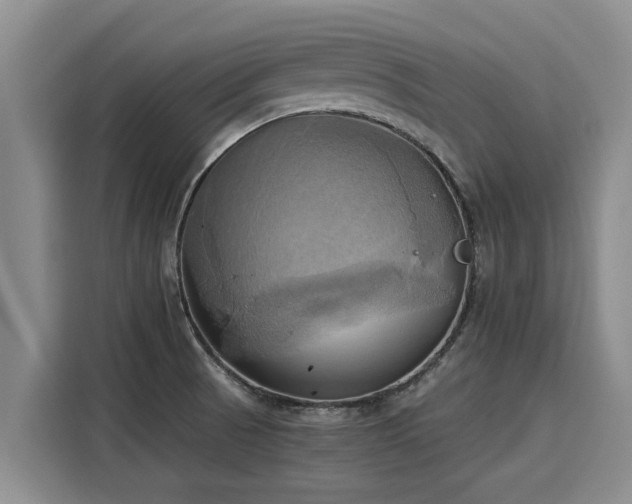 X0000116051521200911271208