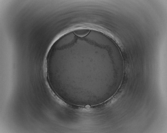 X0000116051522200911271208