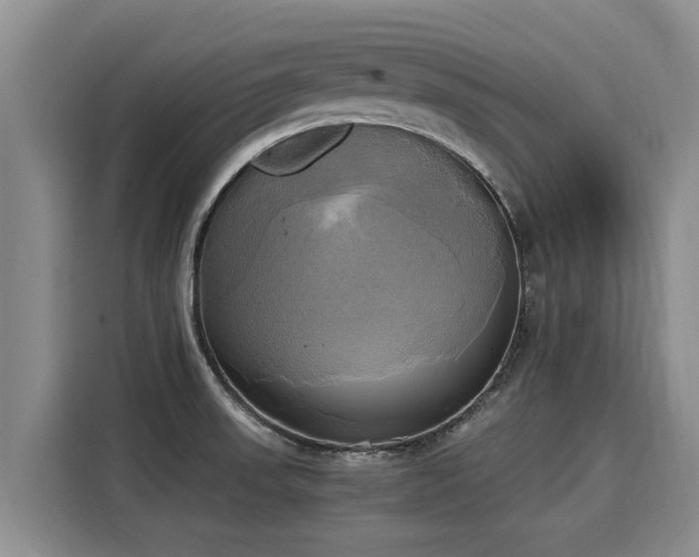 X0000116051523200911271208
