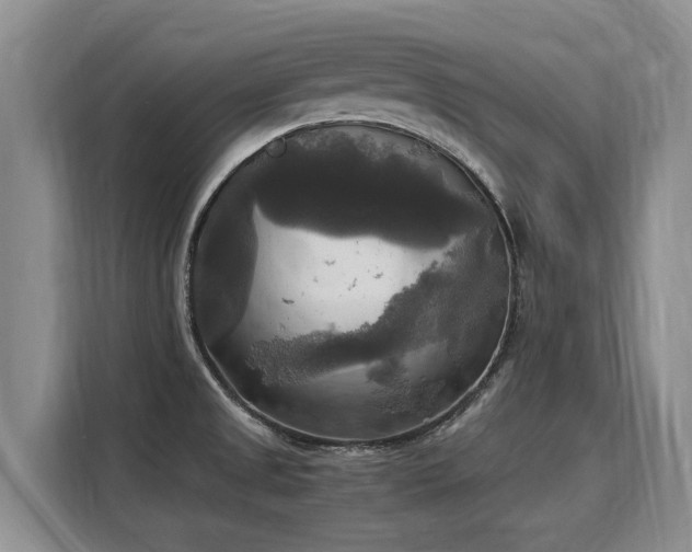 X0000116051525200911271208