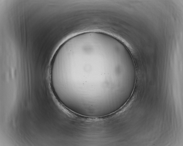 X0000116051526200911271208