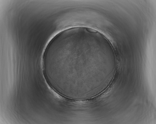 X0000116051527200911271208