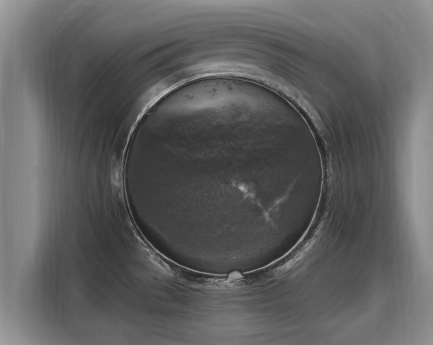 X0000116051529200911271208