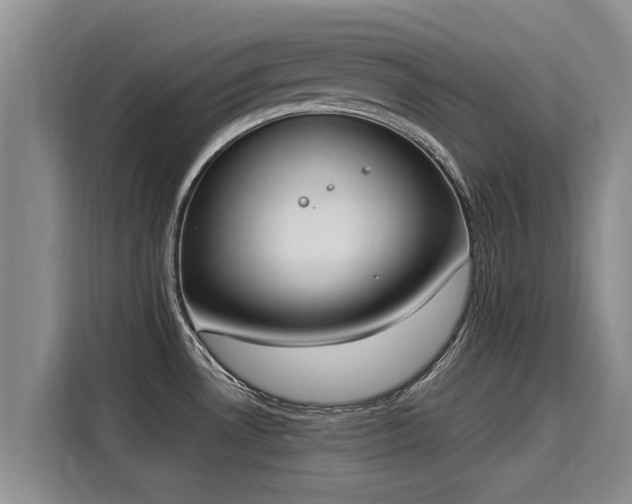 X0000116051530200911271208
