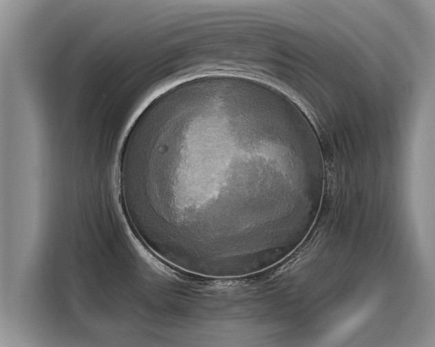 X0000116051531200911271208