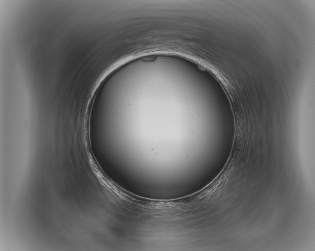 X0000116051534200911271208