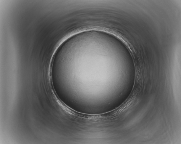 X0000116051535200911271208