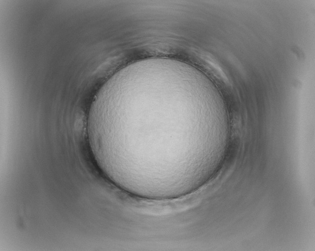 X0000116050029200912041842