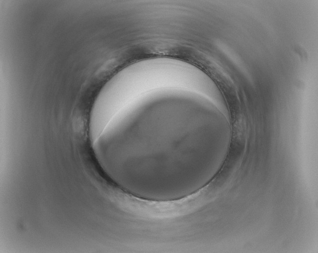 X0000116050031200912041842