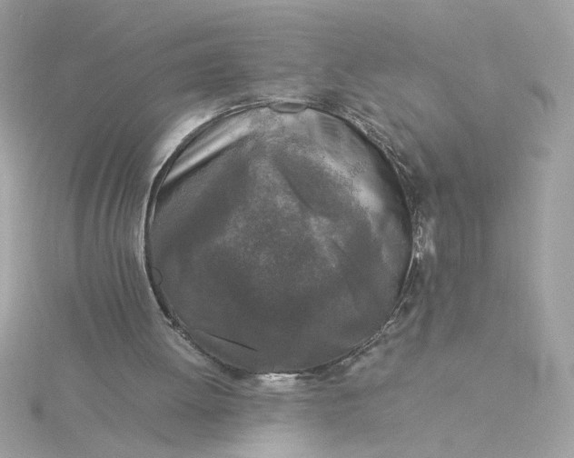 X0000116050052200912041841