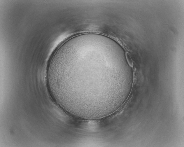 X0000116050056200912041841